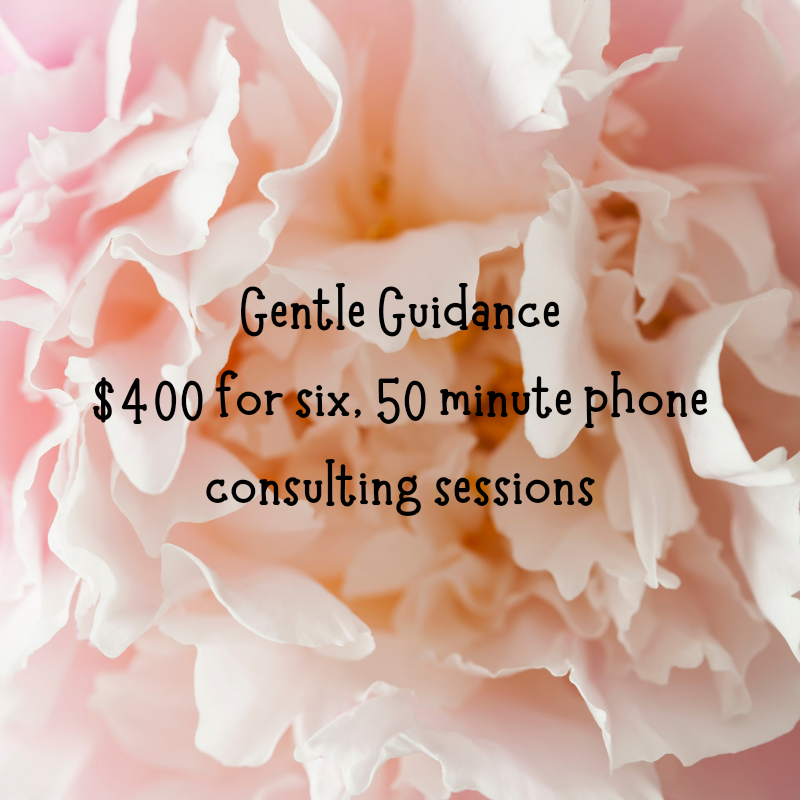 Gentle Guidance-$500 for 6 Sessions